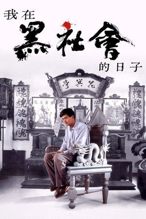 我在黑社會的日子