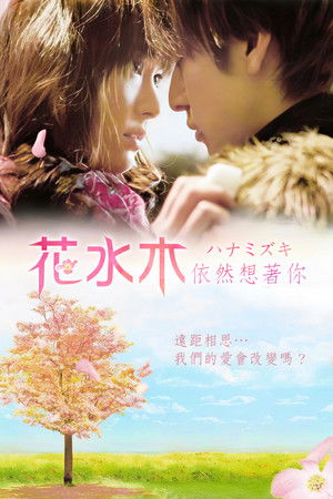 花水木：依然想著你