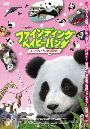 ファインディング ベイビー パンダ くしゃみパンダを探せ!