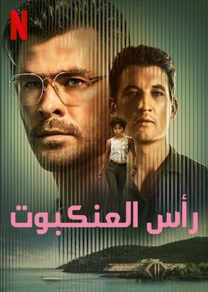 رأس العنكبوت