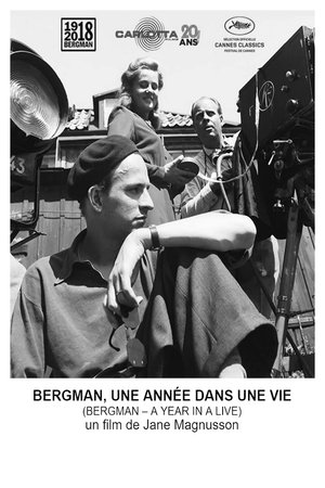 Bergman : une année dans une vie