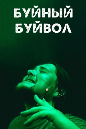 Буйный Буйвол