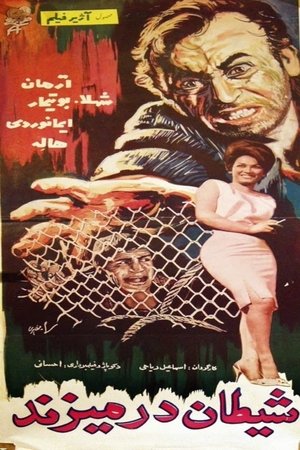 شیطان در می‌زند