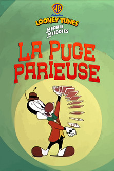 La puce parieuse