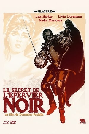 Le Secret de l'épervier noir