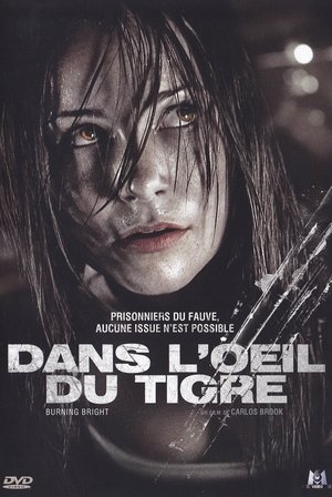Dans l'œil du tigre