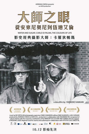 大師之眼—從安東尼奧尼到伍迪艾倫