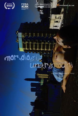 Morfología underground