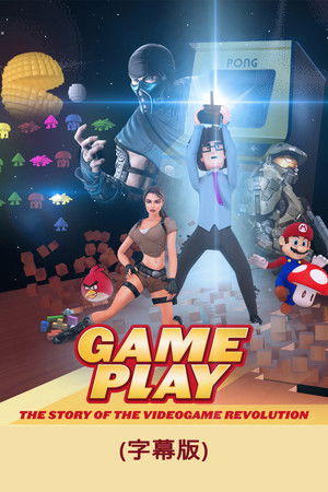 Gameplay: The Story of the Videogame Revolution