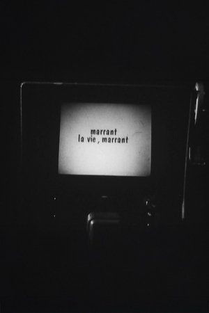 Marrant la vie, Marrant !