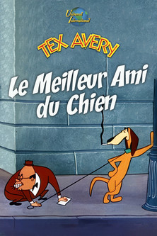 Le meilleur ami du chien