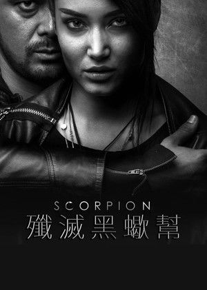 殲滅黑蠍幫