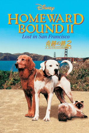 奇跡の旅 2 サンフランシスコの大冒険