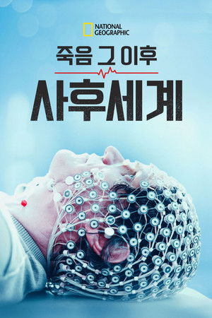 Return From the Dead