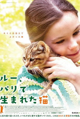 ルー、パリで生まれた猫