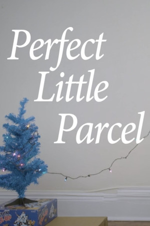 Perfect Little Parcel