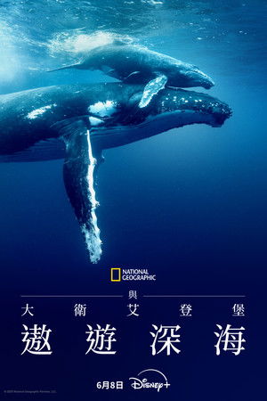 大卫·爱登堡：海洋