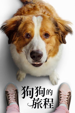 狗狗的旅程