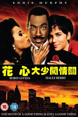 花心大少闖情關