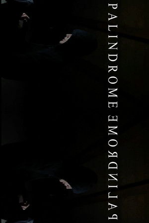 PalindromeemordnilaP