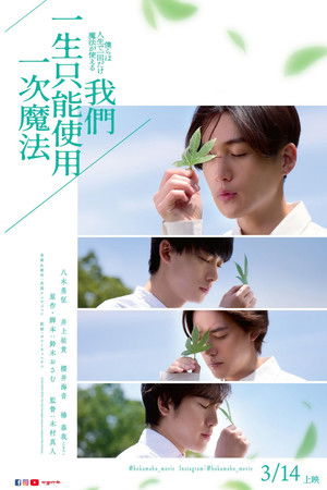 我們一生只能使用一次魔法