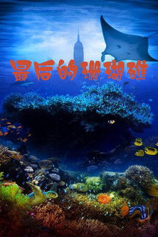 The Last Reef: Cities Beneath the Sea