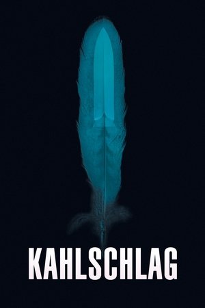 Вырубленный лес