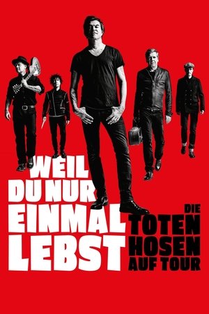 Weil du nur einmal lebst - Die Toten Hosen auf Tour