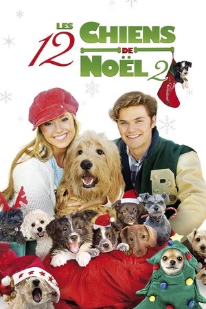 Les 12 chiens de Noël 2