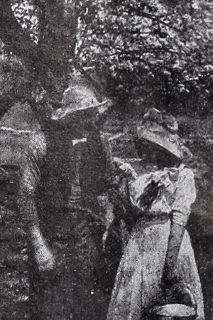 In the Season of Buds