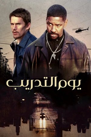 يوم التدريب