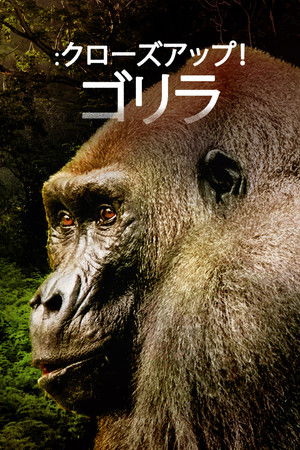 クローズアップ！ゴリラ