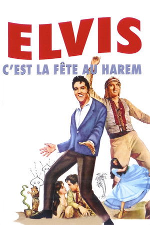 C'est la fête au harem