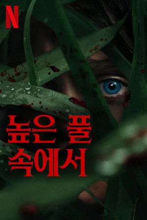 높은 풀 속에서