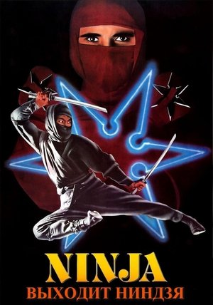 Входит ниндзя