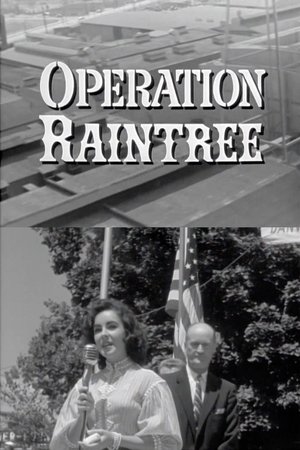 Operation Raintree