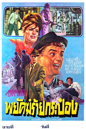 พยัคฆ์ร้ายกระป๋อง