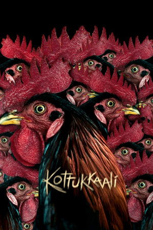 Непреклонная девушка