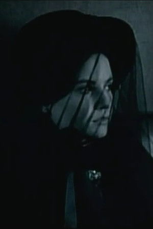 Stammbuch - Júlia asszony titkos éjszakái