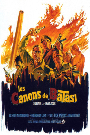 Les canons de Batasi