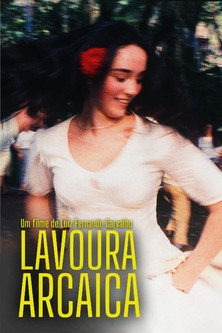 Старая фазенда