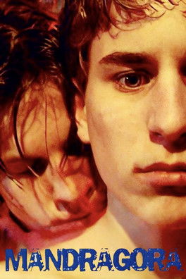Мандрагора