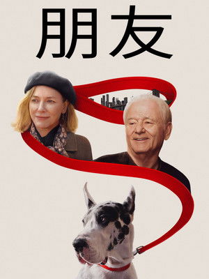 老朋友
