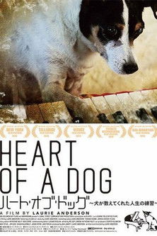 Heart of a Dog