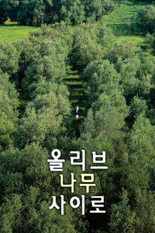 올리브 나무 사이로