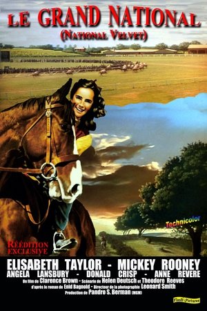 Le Grand National