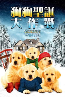 狗狗聖誕大作戰