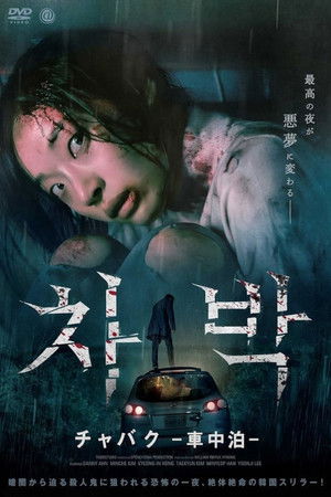 チャバク 車中泊