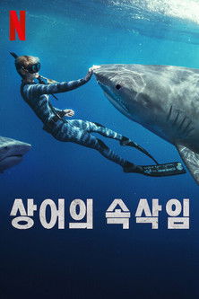 상어의 속삭임