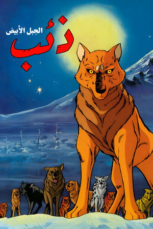 ذئب الجبل الأبيض